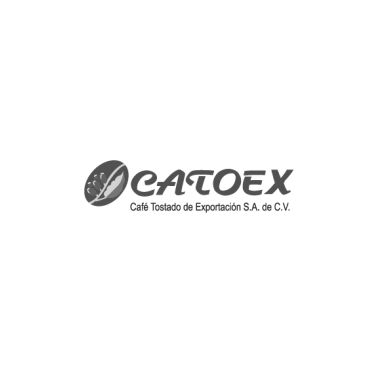 Cliente Market Catoex